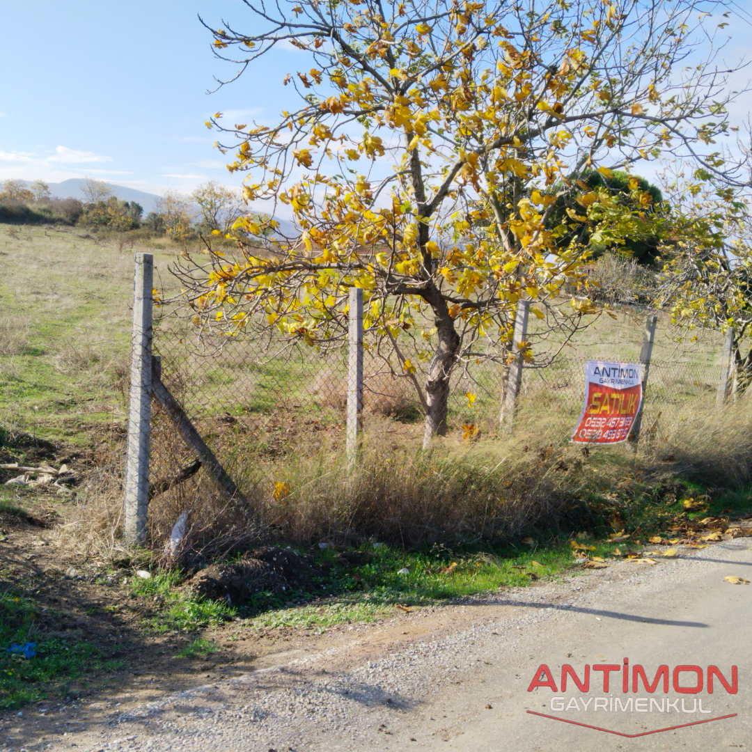 AKKÖY ÇINARCIK YOLU ÜZERİNDE 7659 M2 VİLLA İMARLI ARSA